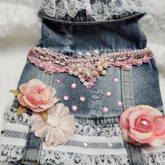 dog denim jacket